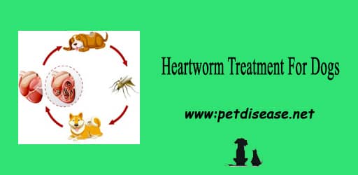 Heartworm Treatment For Dogs